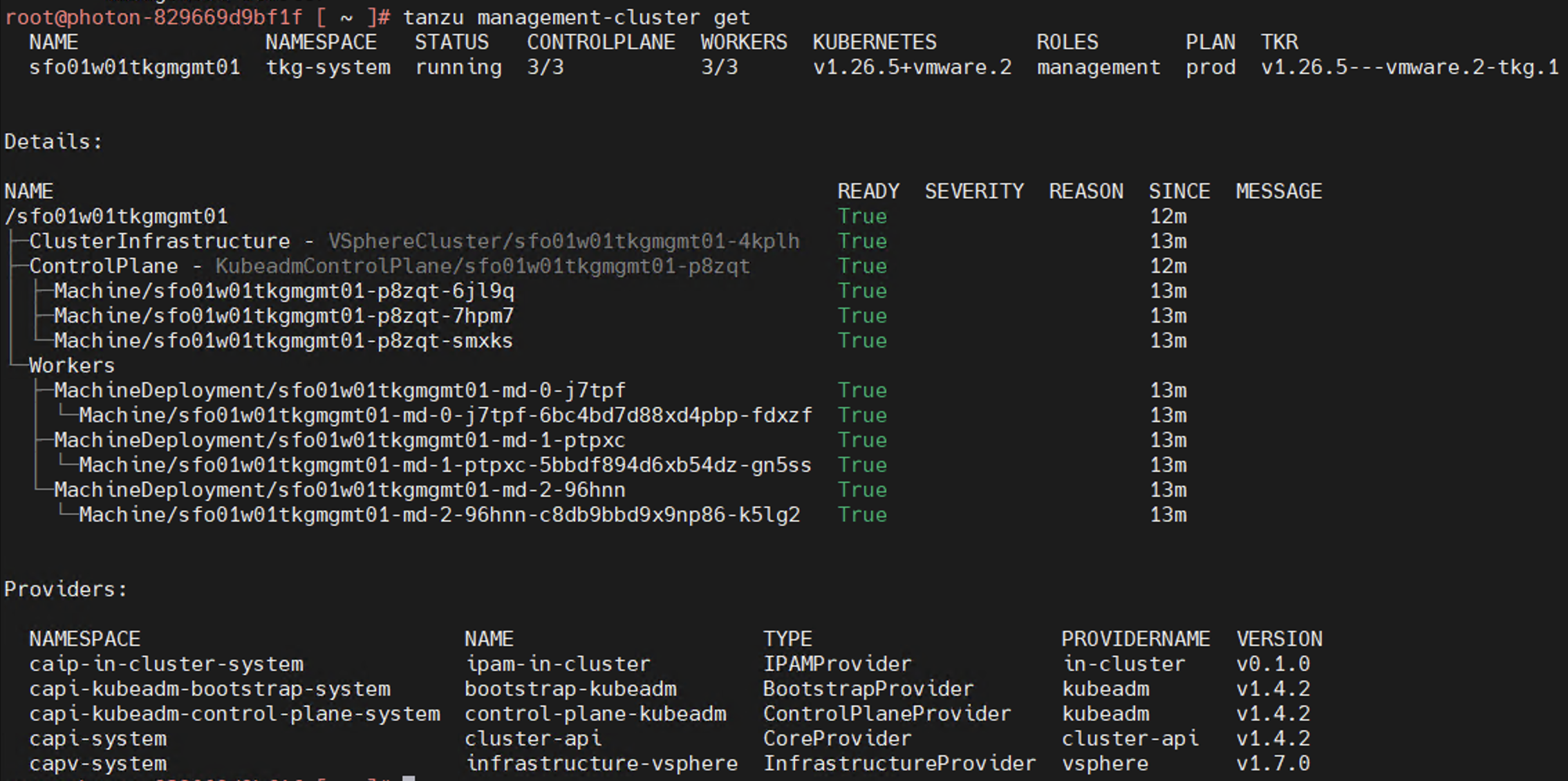 Sample output of the tanzu management-cluster get command